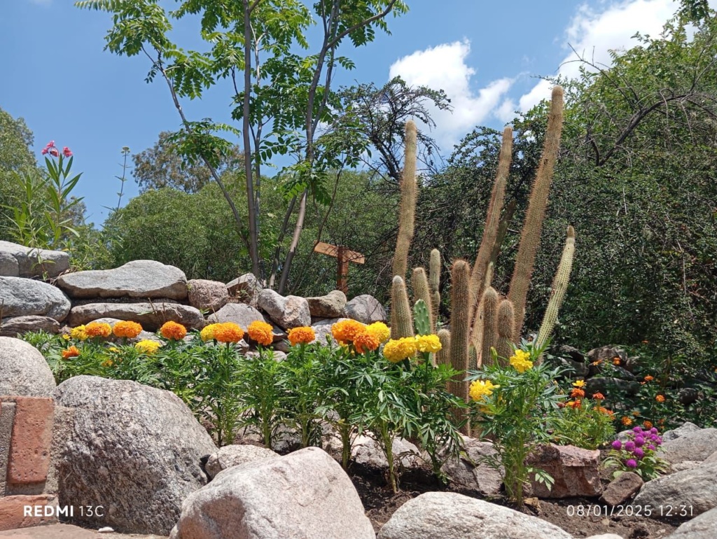 WhatsApp Image 2025-10-24 at 16.35.05