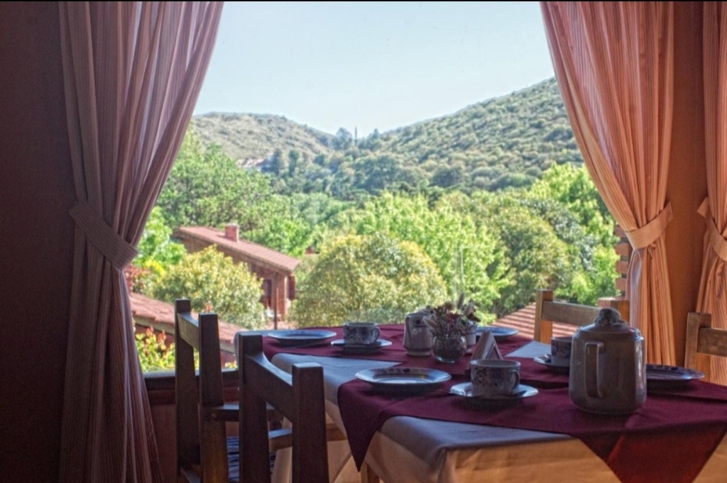 screenshot_20241209_183520_pulse-cQsj3GydH5ByHB00